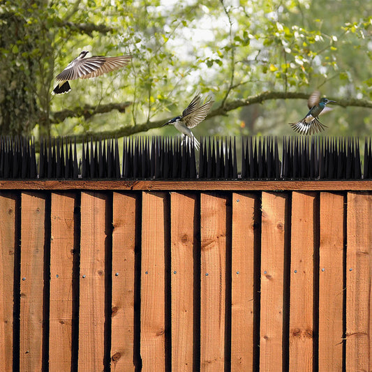 10 Pack Plastic Bird Spikes