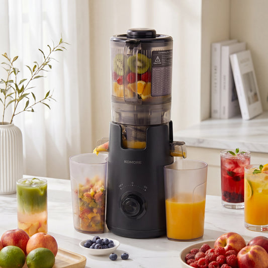 300W Cold Press Juicer Slow Masticating Machine