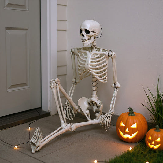 Realistic Full Body Halloween Skeleton Prop with Posable Joints