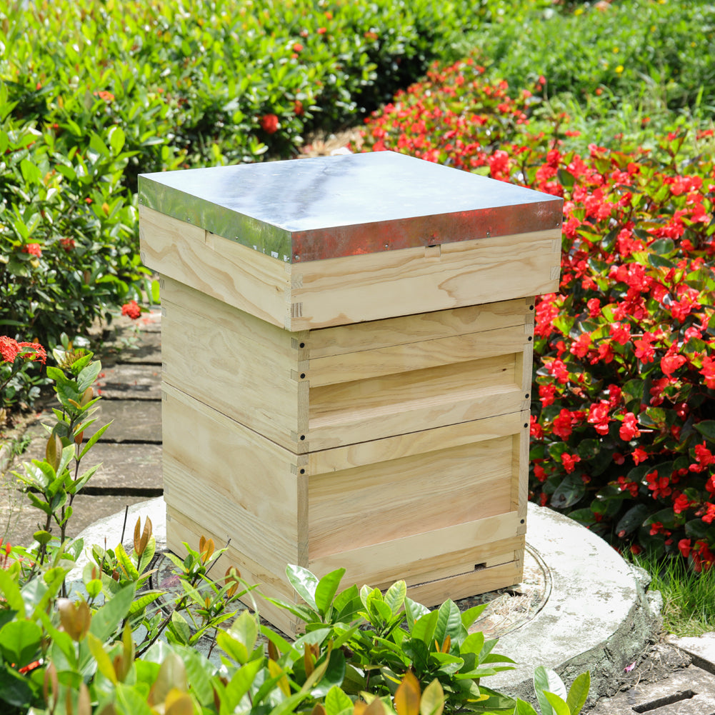 Wooden Beehive Starter Kit
