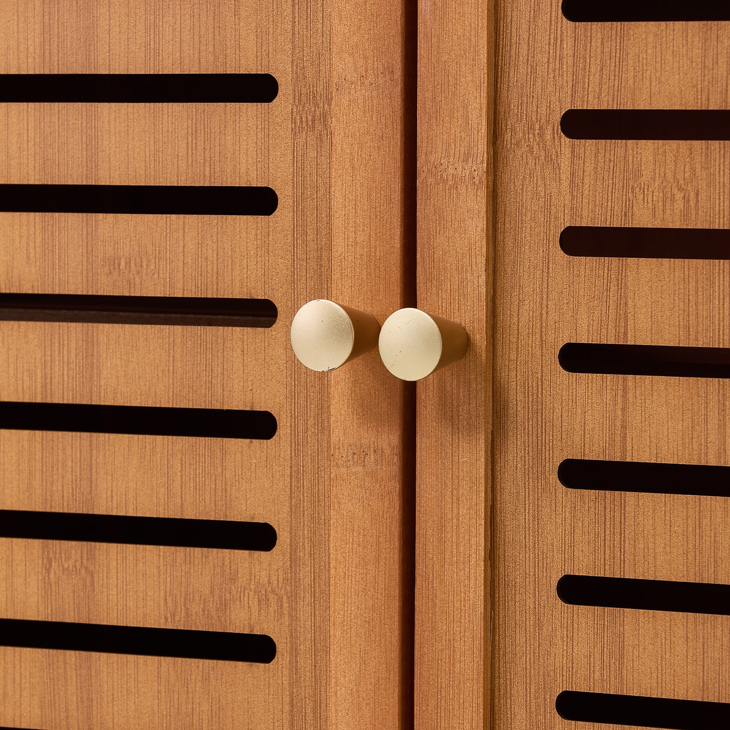 Shoe Storage Cabinet with 3 Doors