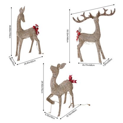 3-Piece Christmas Champagne Lighted Reindeer Family Set