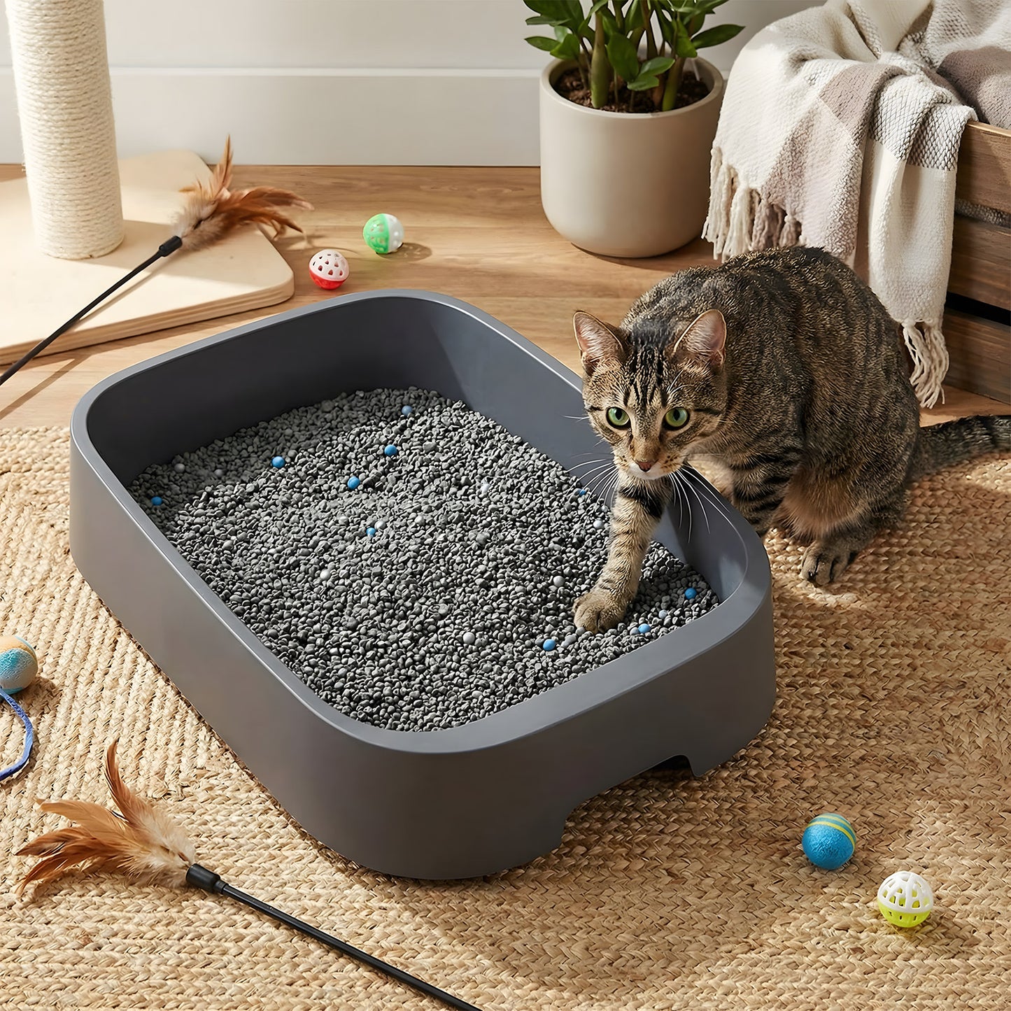 Clumping Sodium Bentonite Cat Litter