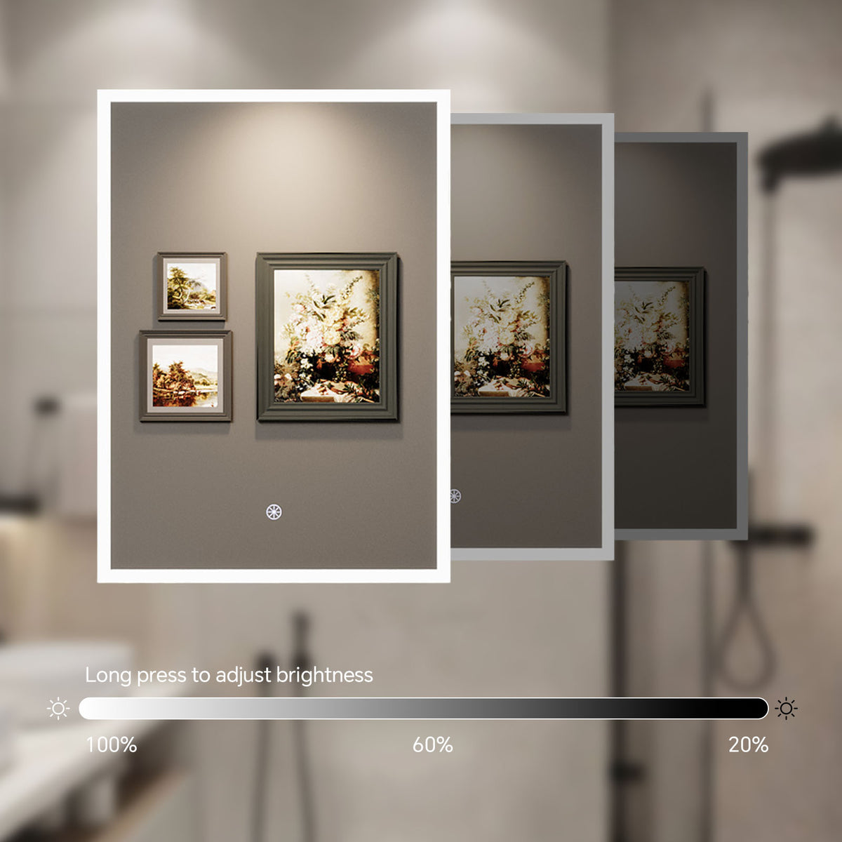 Rectangular Wall Mount Mirror Cabinet with LED Lighting