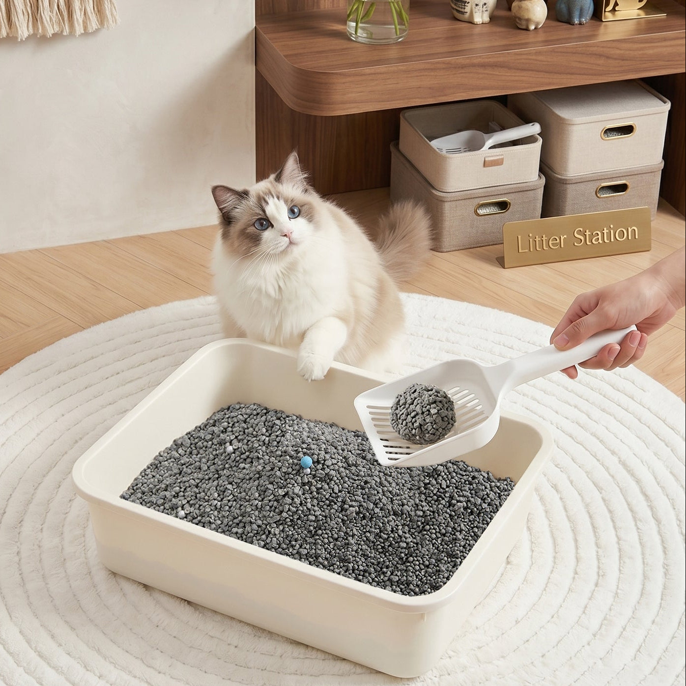Clumping Sodium Bentonite Cat Litter