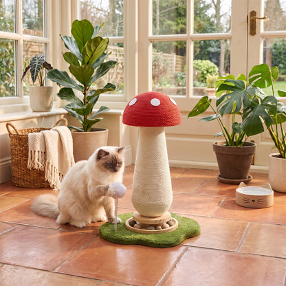 Red Mushroom Cat Scratching Post with Turntable Toy