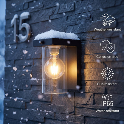 Dusk to Dawn Outdoor Wall Lamp