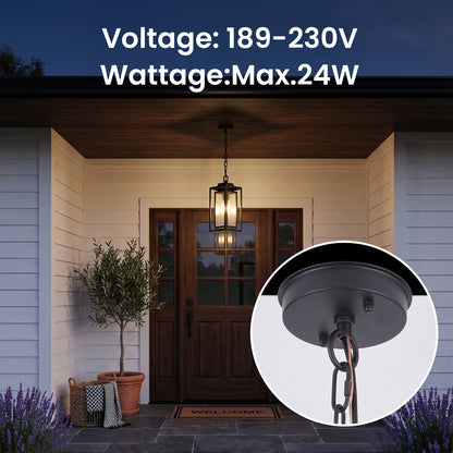 Modern Outdoor Pendant Light