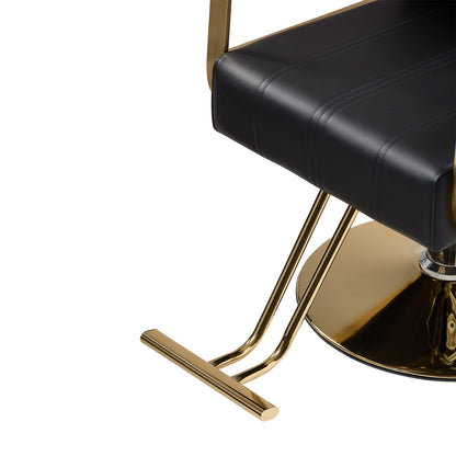 Height Adjustable Swivel Salon Barber Chair