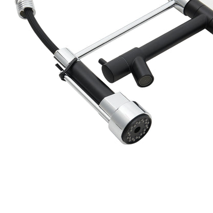 Stainless Steel Kitchen Faucet