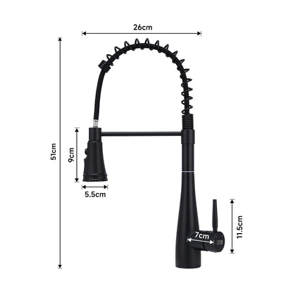 Pre-rinse Pull-Down Swivel Kitchen Faucet