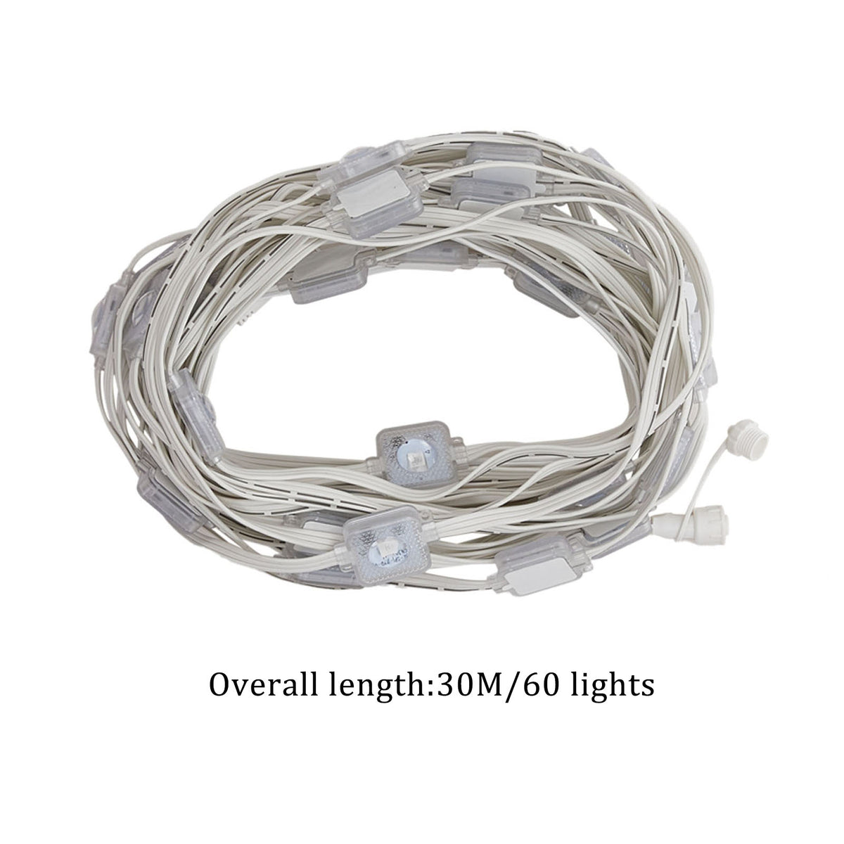 98ft Waterproof Permanent Outdoor Eaves Lights with APP/Remote Control