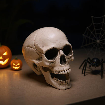 Halloween Realistic Plastic Skull Tabletop Decoration