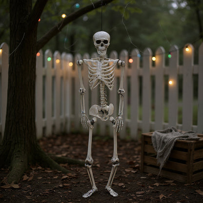Halloween Realistic Full Body Skeleton Prop Decoration Posable Joints