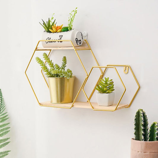 Honeycomb Modern Hexagonal 2 Tier Wall Floating Shelf