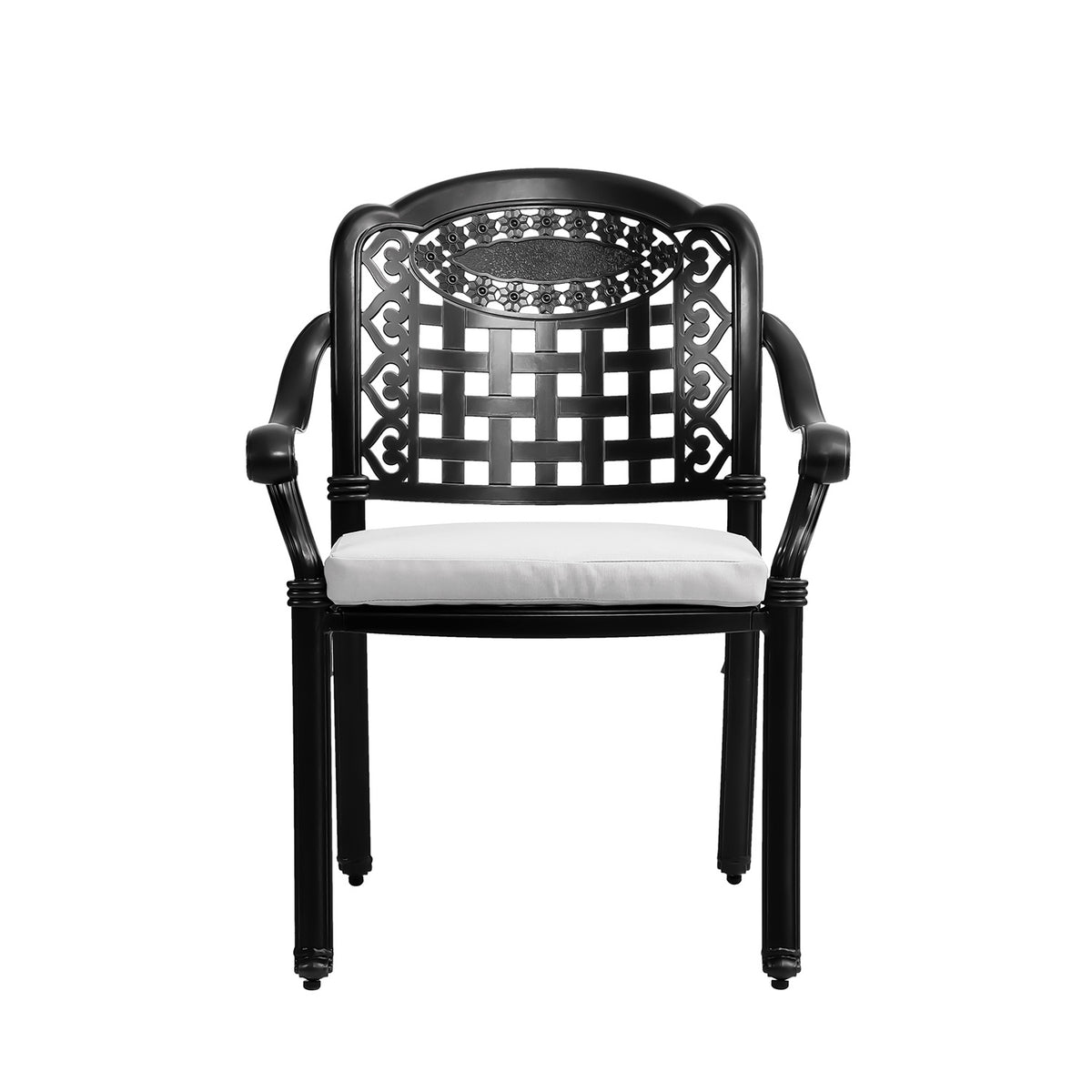 Set of 2 Outdoor Dining Chairs Cast Aluminum with Cushions