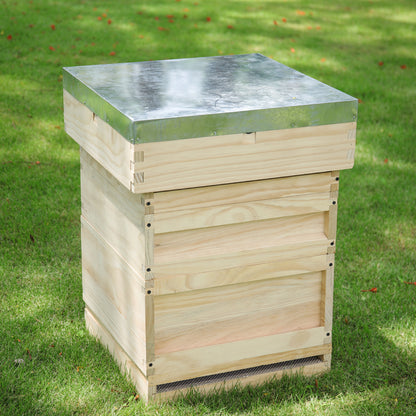 Wooden Beehive Starter Kit