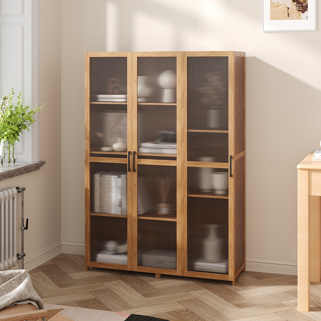 Storage Cabinet with Acrylic Doors