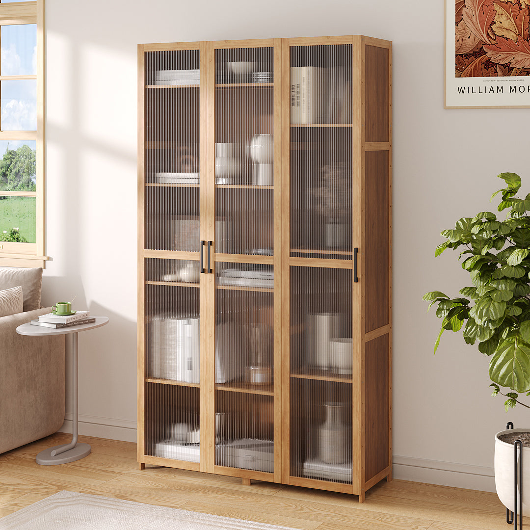 Storage Cabinet with Acrylic Doors