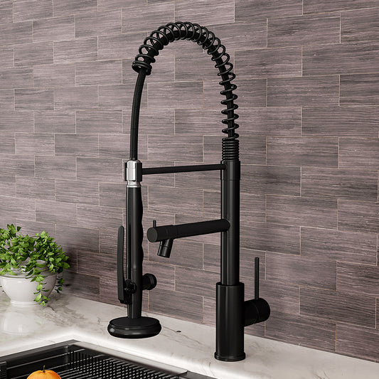 Swivel Kitchen Faucet with Pull Down Sprayer and Pot Filler