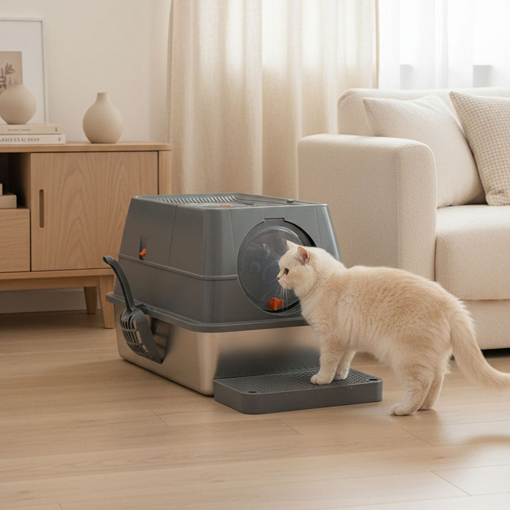 Enclosed Cat Litter Box