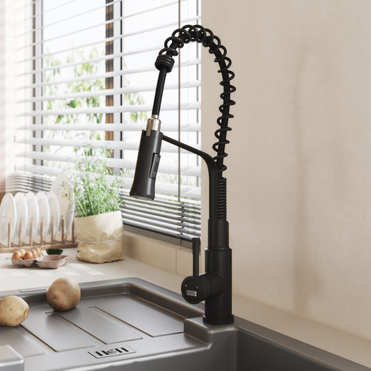 Modern Kitchen Pull Down Faucet