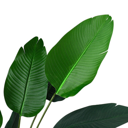 180 cm Tall Artificial Banana Leaf Tree Faux Large Plants in Pot Plants   